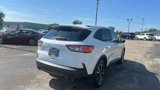 Used 2022 Ford Escape SE w/ SE Sport Appearance Package image 5