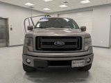 Used 2013 Ford F150 FX4 w/ Luxury Equipment Group image 2
