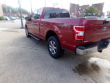 Used 2019 Ford F150 XLT w/ Equipment Group 302A Luxury image 3