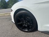 Used 2019 Ford Mustang Coupe w/ Equipment Group 101A image 5