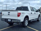 Used 2014 Ford F150 XLT w/ Equipment Group 302A Luxury image 5
