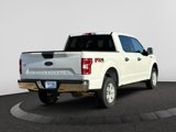 Used 2019 Ford F150 XLT w/ Equipment Group 301A Mid image 4