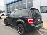 Used 2011 Ford Escape XLT w/ 203A Rapid Spec Order Code image 5