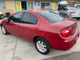 Used 2005 Dodge Neon SXT image 5
