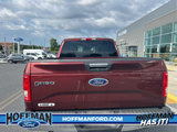 Used 2016 Ford F150 XLT w/ Equipment Group 301A Mid image 4