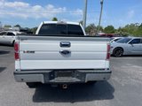 Used 2014 Ford F150 XLT w/ Equipment Group 302A Luxury image 6