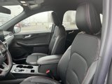 New 2025 Ford Escape ST-Line w/ Tech Pack #1 image 4
