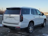 Used 2022 Cadillac Escalade Premium Luxury Platinum image 5
