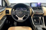 Used 2021 Lexus NX 300 FWD w/ Premium Package image 5
