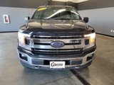 Used 2019 Ford F150 XLT w/ Equipment Group 302A Luxury image 4