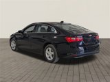 Used 2024 Chevrolet Malibu LT image 6
