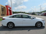 Used 2018 Hyundai Sonata SEL w/ Cargo Package image 2