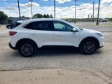 Used 2022 Ford Escape SEL w/ Technology Package image 5