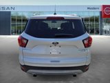 Used 2019 Ford Escape Titanium image 6
