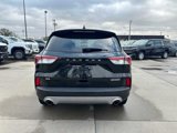 Used 2022 Ford Escape SE image 4