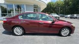 Used 2013 Honda Accord EX-L image 5