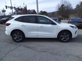 Used 2024 Ford Escape ST-Line w/ Tech Pack #1 image 4