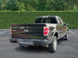Used 2010 Ford F150 4x4 SuperCab image 3