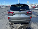 New 2025 Ford Escape ST-Line Select w/ Tech Pack #1 image 5