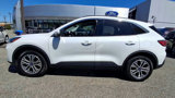 Certified 2022 Ford Escape SEL w/ Technology Package image 5