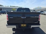 Used 2013 Ford F150 XLT w/ Mid Equipment Group image 5