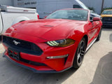 Used 2019 Ford Mustang Premium image 3
