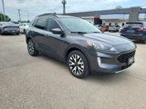 Used 2020 Ford Escape SEL image 4