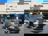 View Video