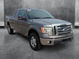Used 2011 Ford F150 XLT w/ XLT Convenience Pkg image 3