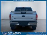 Used 2016 Ford F150 XLT w/ Equipment Group 302A Luxury image 4
