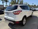 Used 2018 Ford Escape SE w/ Ford Safe & Smart Package image 5