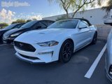 Used 2019 Ford Mustang Premium image 2