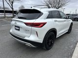 Certified 2023 INFINITI QX50 Sensory w/ Accent Package image 3