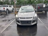 Used 2014 Ford Escape Titanium w/ Equipment Group 401A image 4