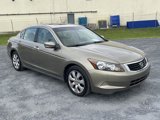 Used 2010 Honda Accord EX-L image 2