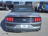 Certified 2022 Ford Mustang Premium image 4