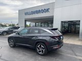 Used 2022 Hyundai Tucson SEL w/ Convenience + Premium Package image 4