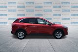 Used 2022 Ford Escape SE w/ Convenience Package image 4