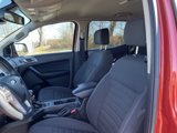 Used 2023 Ford Ranger XLT w/ Equipment Group 302A High image 4