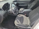 Used 2024 Hyundai Tucson SEL image 5