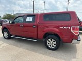 Used 2013 Ford F150 XLT w/ Luxury Equipment Group image 5