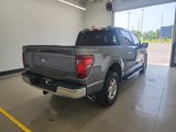 Used 2024 Ford F150 XLT w/ Equipment Group 302A MID image 5