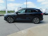 Used 2020 Ford Escape SEL image 6