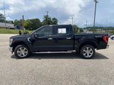 Used 2022 Ford F150 XLT w/ Equipment Group 302A High image 4