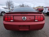 Used 2008 Ford Mustang Coupe image 4