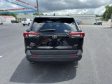 Used 2022 Toyota RAV4 XLE Premium image 6