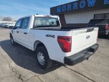 New 2024 Ford F150 XL image 5