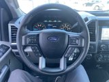 Used 2016 Ford F150 XLT w/ Equipment Group 302A Luxury image 2