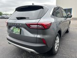 Used 2024 Ford Escape Active image 5