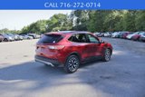Used 2020 Ford Escape SE Sport image 5
